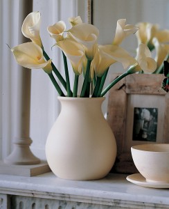 Cut Calla Lilies in Vase