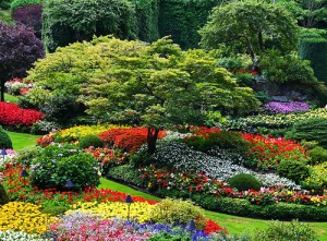 Garden Design Garden Design