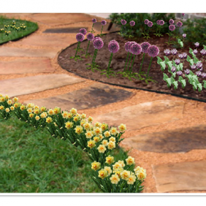 iMyGarden Garden Design iPhone App