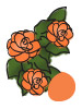 Roseform Apricot Begonia
