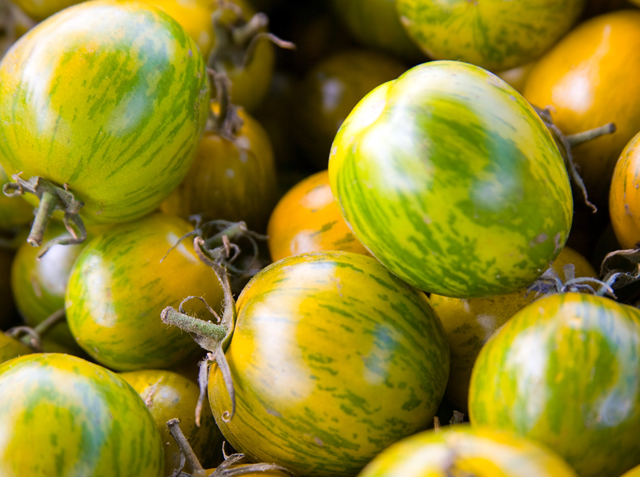 Green Zebra Tomatoes