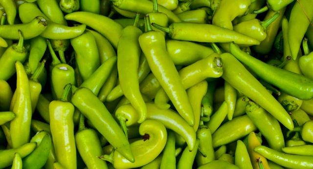 Hungarian Peppers