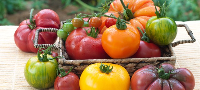 Heirloom Tomatoes -- All the Rage or Just a lot of Hype?
