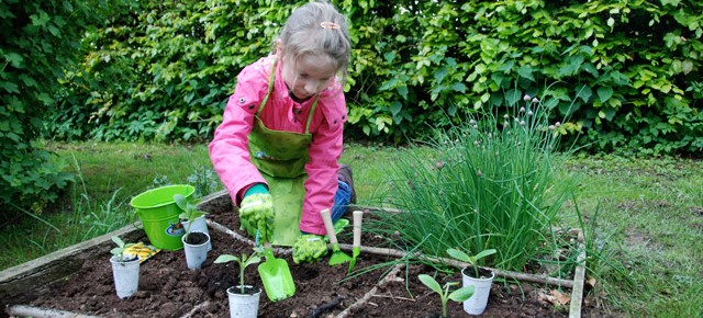 Gardening with Little Feet