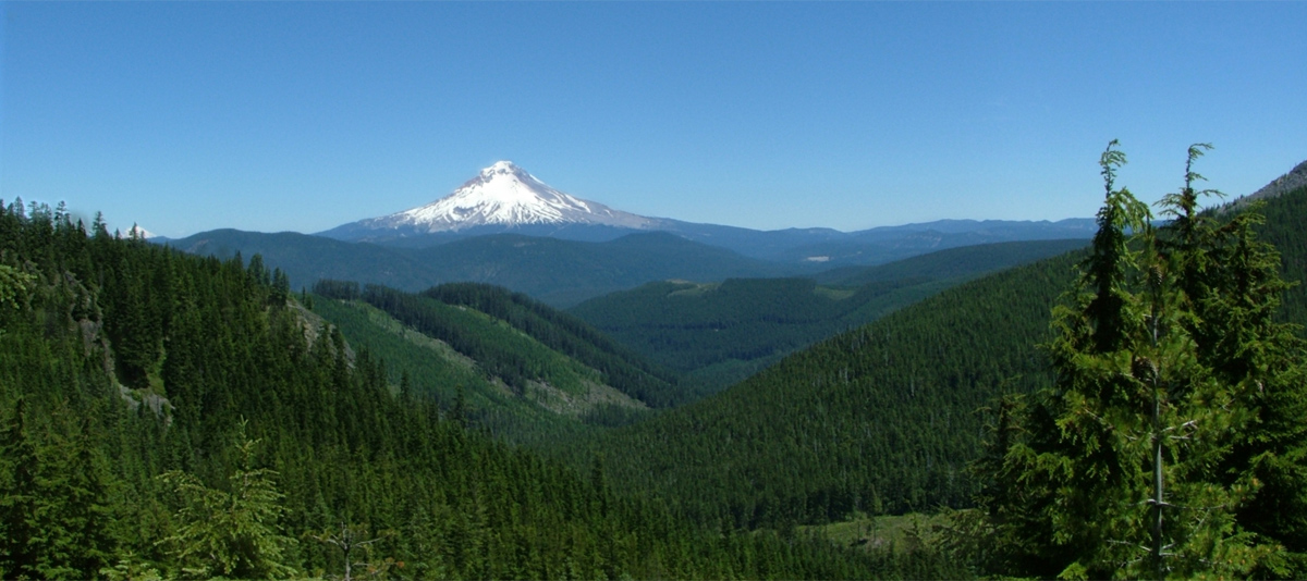 Landscape with Mountain