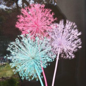 Spray Painting Allium, How to Spray Paint Allium Flowers