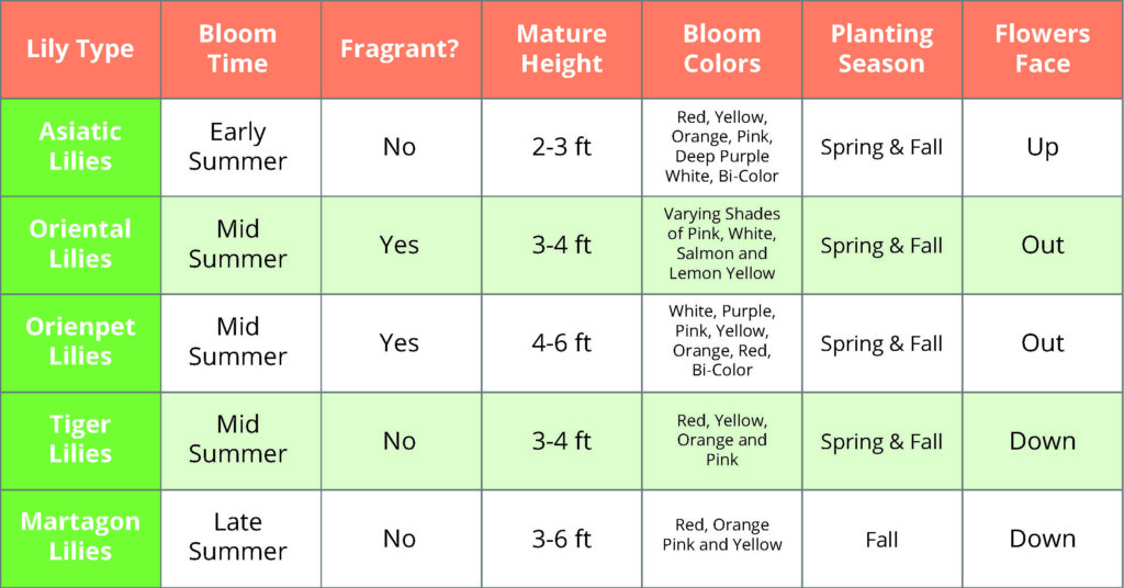 Bloom Time Chart