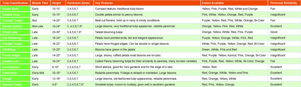 Tulip Classification Chart