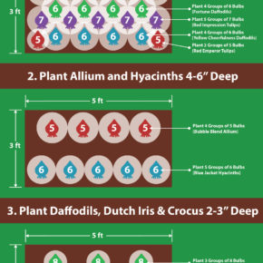 Planting Guide