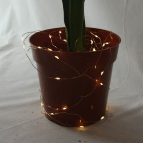 Pot with Fairy Lights