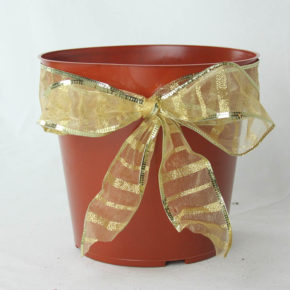 Pot With a Bow on It