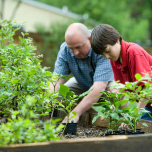 Father and Son Gardening