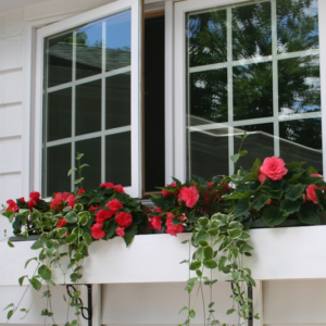 Window Garden