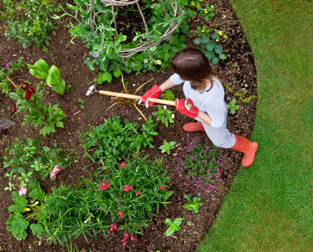 Woman Gardening