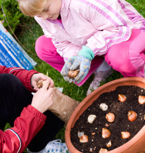 Child Planting Tulips