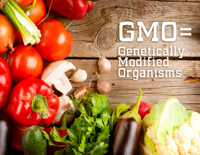 GMO