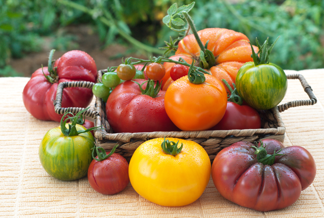 Heirloom Tomatoes