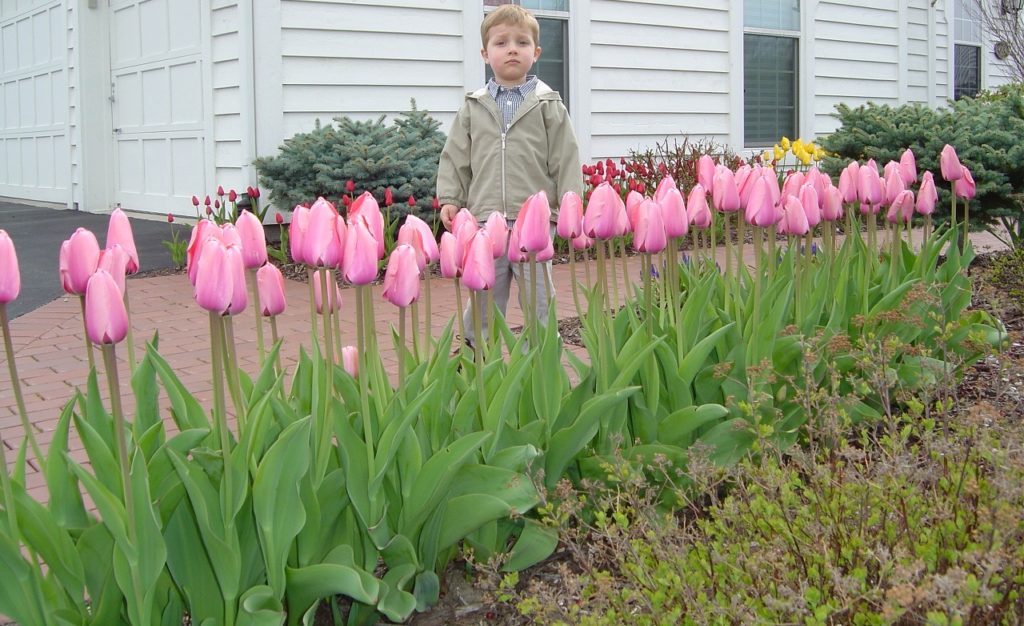 Child with Tulips