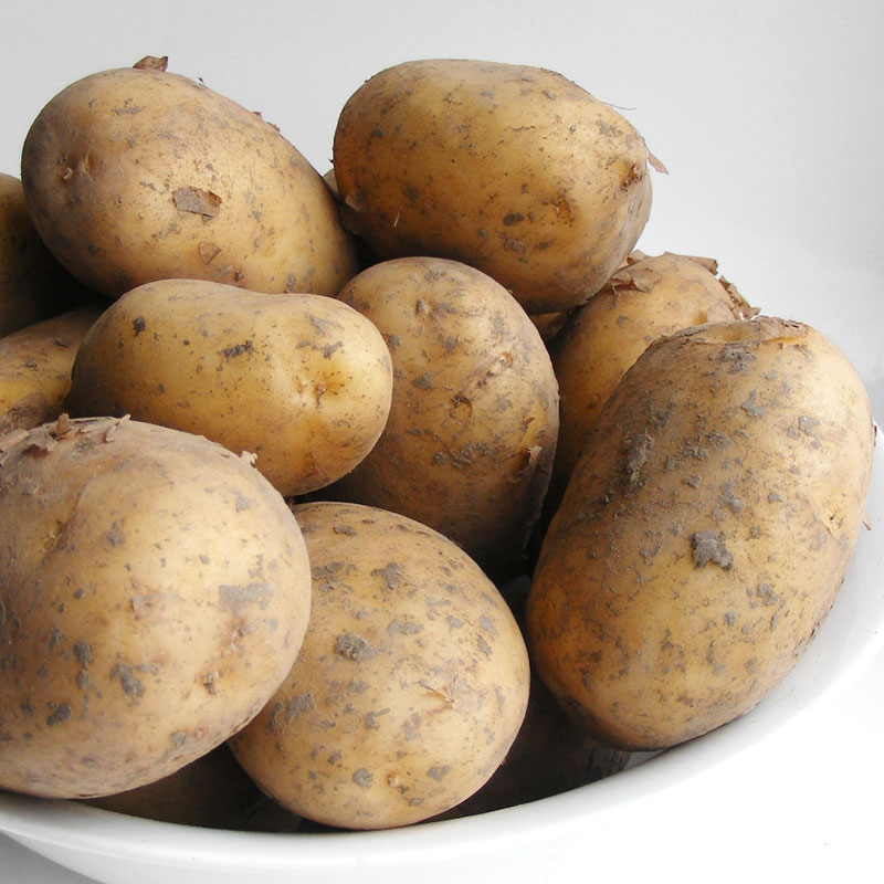 Seed Potatoes 101 How to Grow Seed Potatoes Best Types of Potatoes