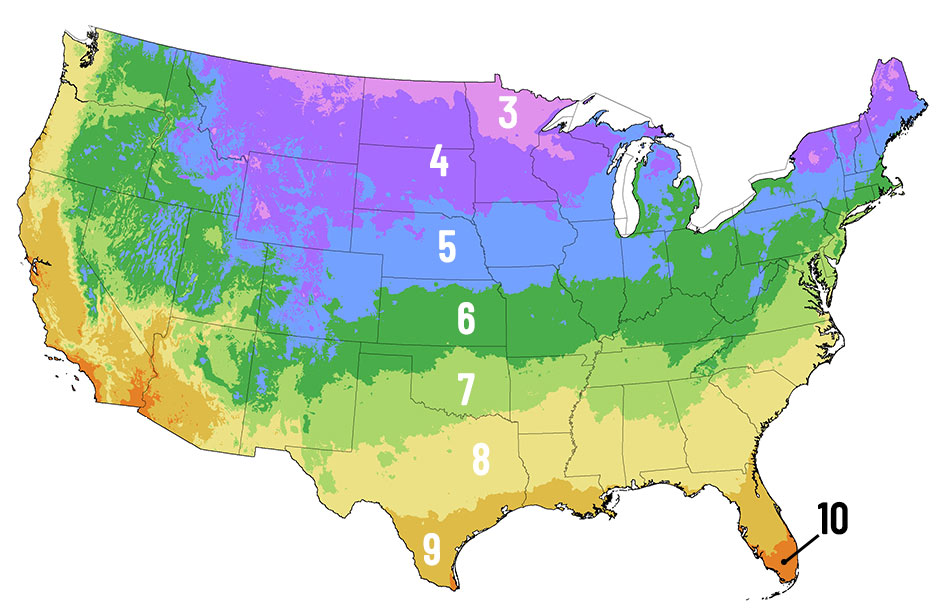 Zone Map