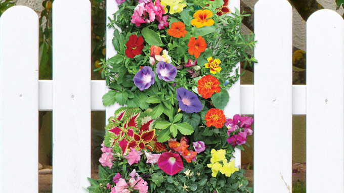 Hummingbird Vertical Garden