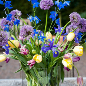 Iris, Tulips and Allium Arrangement