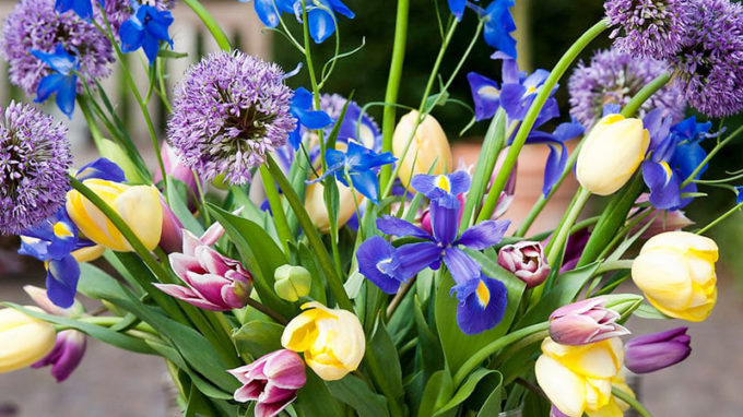 Iris, Tulips and Allium Arrangement