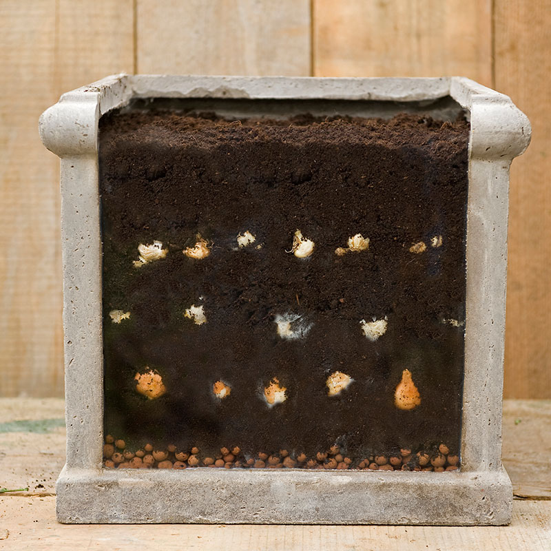 Lasagna Garden Technique Plant in Layers Continuous Blooms