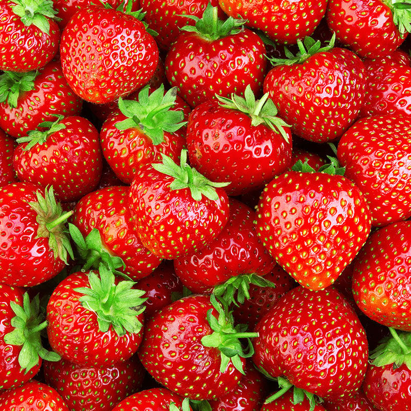 Beginner's Guide to Gardening with Berries Strawberries Blueberries