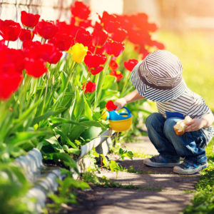 Child With Tulips