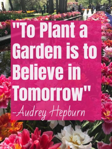Garden Quote