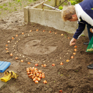 Fall Bulb Circle