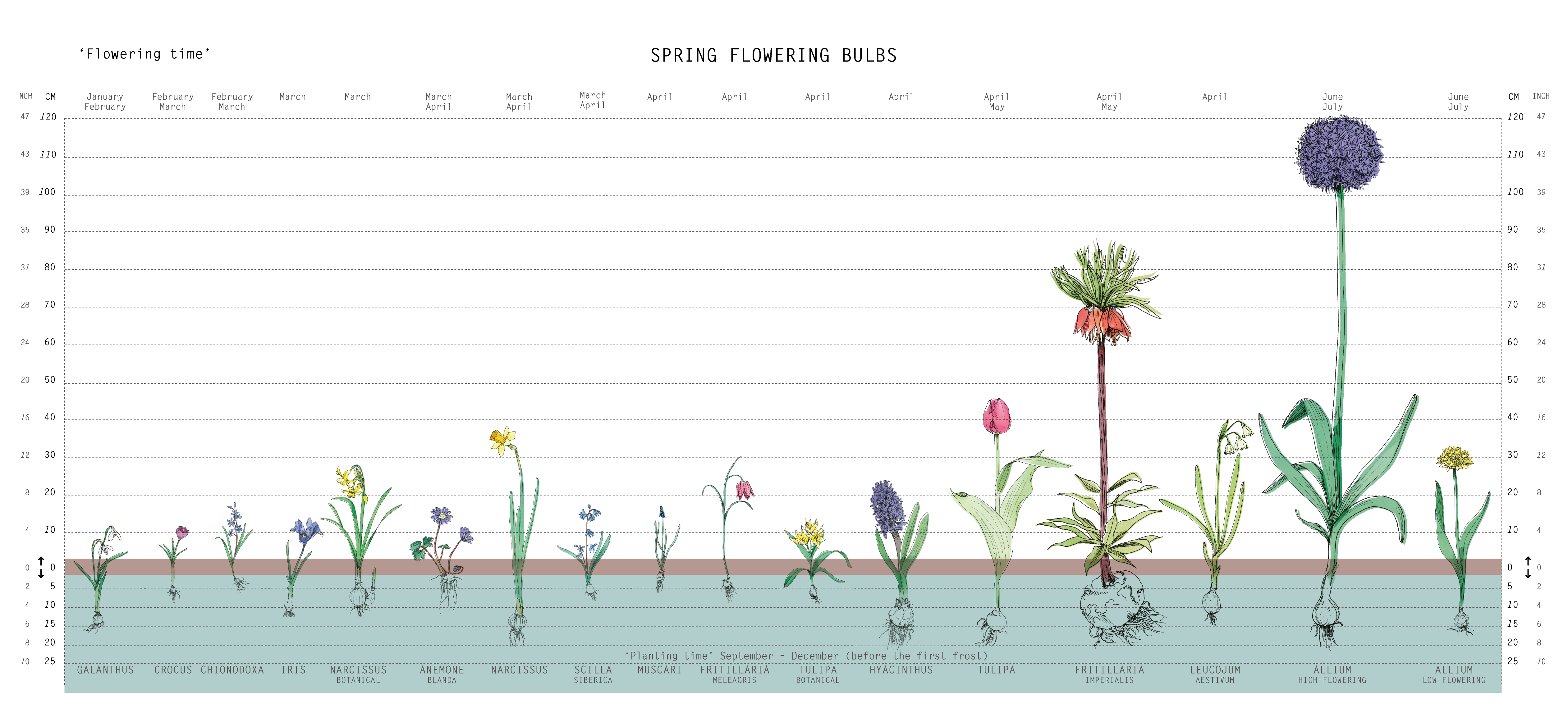 Fall Planting Chart