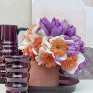 Hungarian Rhapsody Daffodils & Violet Beauty Single Late Tulips