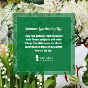 Gardening Tip