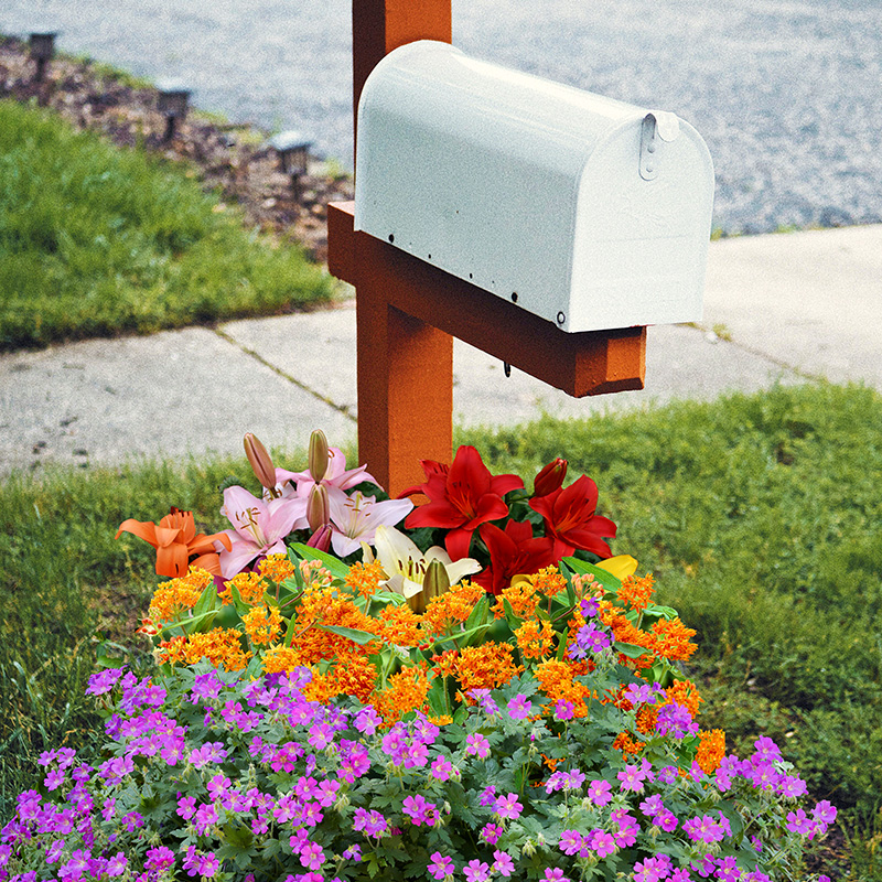 Post box on sale flowers