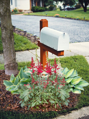 Shady Perennial Mailbox Garden