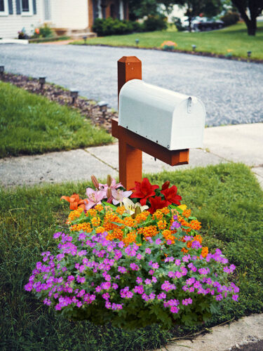 Sunny Mailbox Garden