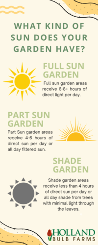 Guide to Sunlight Conditions in the Garden