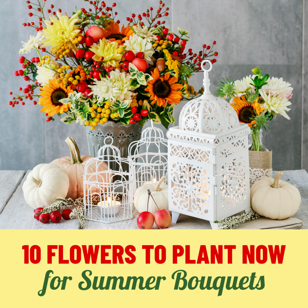 Cut Flowers 10 Flowers to Plant NOW for Summer Bouquets