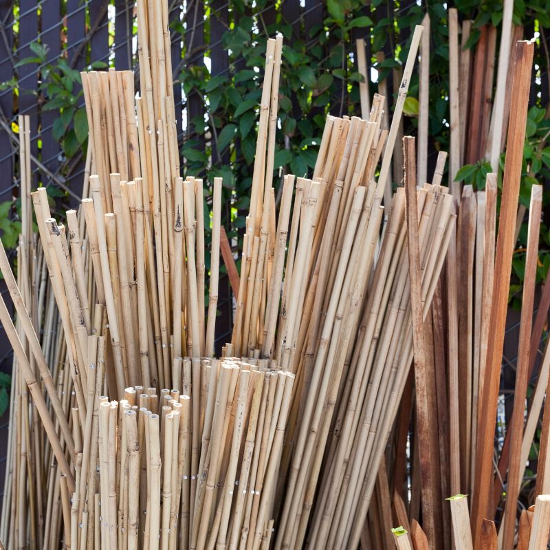 Staking Tall Flowers and Perennials Staking Gladiolus Bulb Blog